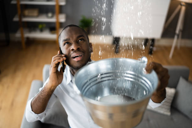 Best Flood restoration services  in Vista Center, NJ