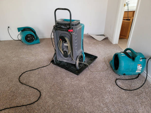Best Water damage restoration near me  in Vista Center, NJ