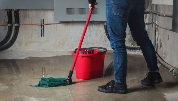 Best 24-hour water damage restoration  in Vista Center, NJ