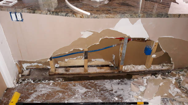 Best Mold removal after water damage  in Vista Center, NJ