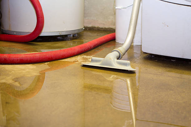 Best Water damage restoration cost  in Vista Center, NJ
