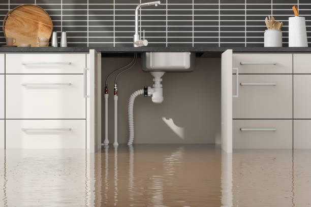 Best Residential water damage restoration  in Vista Center, NJ